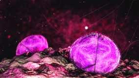 Meningitis (Forrás: Neurológiai Praxis/AdobeStock)