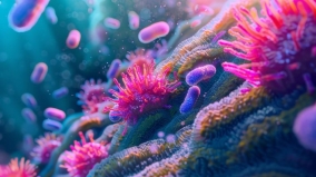 Forrás: AdobeStock