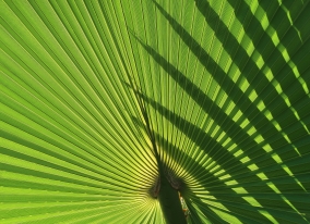 Fotó: AdobeStock