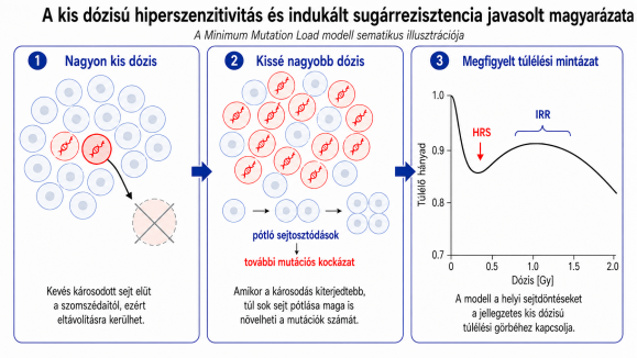 Forrás: HUN-REN