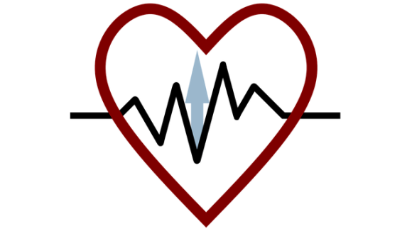 Arnold van der Meulen képe a Pixabay-en