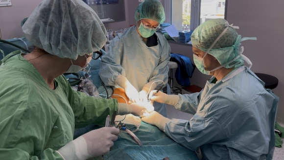 Fotó: Bethesda Gyermekkórház