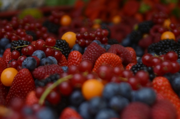 Photo by Karoline Stk on Unsplash