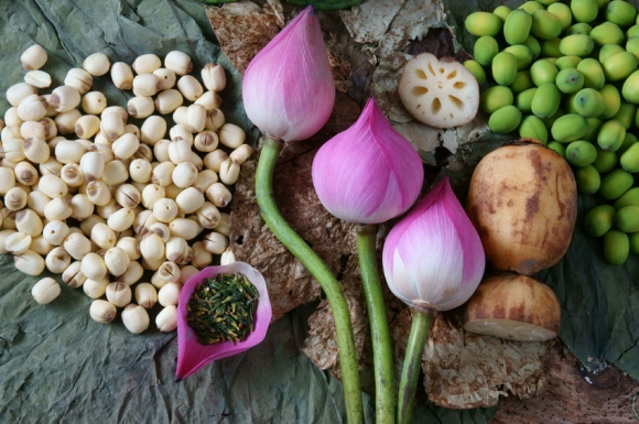 Collection of lotus, pink lotus flower, green seed, white lotus seed in fresh and dry, herbal tea of this flora, with amazing, abstract concept in vibrant color, this food make healthy , good sleep 123rf.com