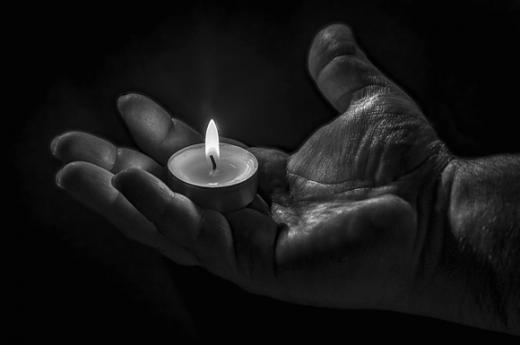 Zsóka Vehofsics képe a Pixabay-en