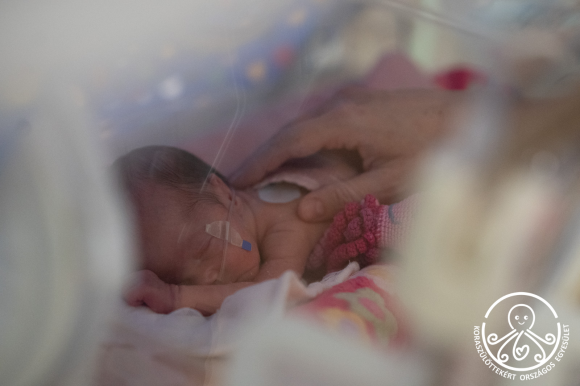 Forrás: peerscommunication.hu