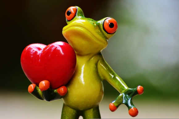 Alexa képe a Pixabay-en