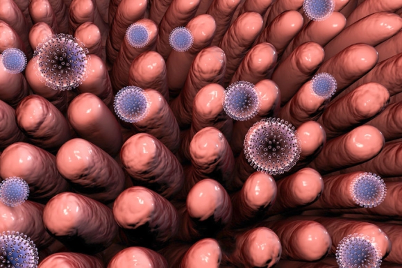 Rotavírus: halállal is végződhet a hasmenés - EgészségKalauz