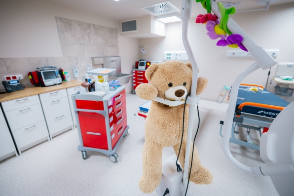 (Fotó: SZTE NKI/Kovács-Jerney Ádám)