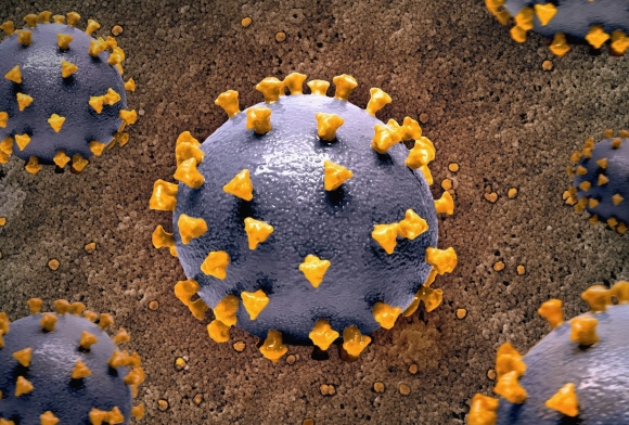 Photo by National Institute of Allergy and Infectious Diseases on Unsplash