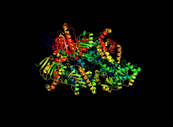 The crystal structure of the tumor marker protein. The 3D model of the biological macromolecule (Forrás: 123rf)