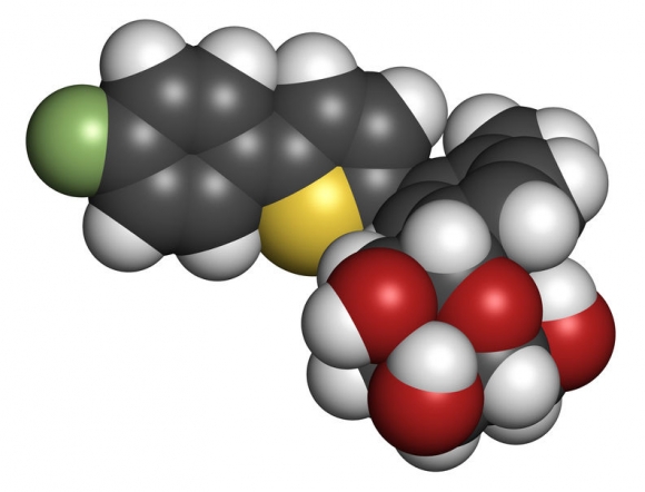  Canagliflozin diabetes drug molecule. SGLT2 inhibitor used in treatment of type II diabetes. Atoms are represented as spheres with conventional color coding: hydrogen (white), carbon (grey), oxygen (red), sulfur (yellow), fluorine (light green). Copyright: <a href='https://hu.123rf.com/profile_molekuul'>molekuul / 123RF Stock fotó</a>