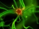 Gyorsan megszüntethető az epilepsziás roham