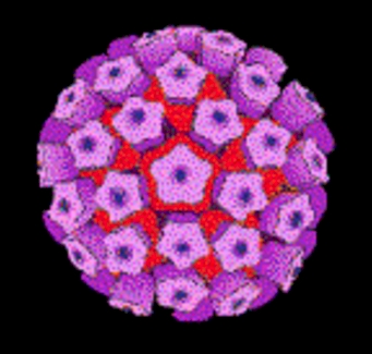 HPV szűrés - Humán Papillómavírus teszt - Medicover Labor