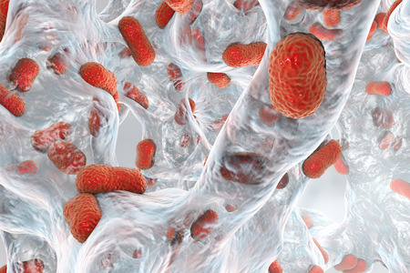 Acinetobacter baumannii biofilm (Fotó: 123rf)